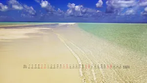 2016年11月日历桌面壁纸_8