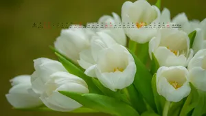 2016年4月日历桌面壁纸_20