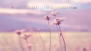 2015年11月日历桌面壁纸_2