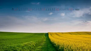 2015年8月日历桌面壁纸_6
