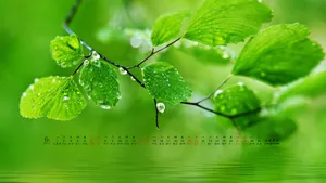 2015年6月日历桌面壁纸_20
