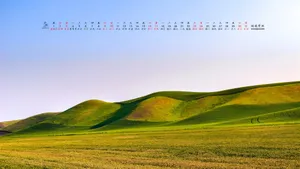2015年5月日历桌面壁纸_8