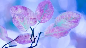 2015年5月日历桌面壁纸_19