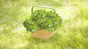 2015年3月日历桌面壁纸_9