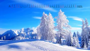 2015年1月日历桌面壁纸_2