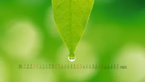 2014年10月日历桌面壁纸_20