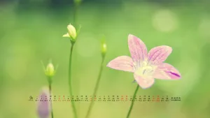 2014年9月日历桌面壁纸_19