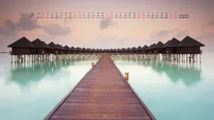 2014年8月日历桌面壁纸第1张