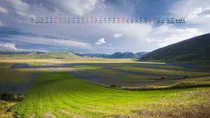 2014年7月日历桌面壁纸_13