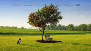 2014年5月日历桌面壁纸_4