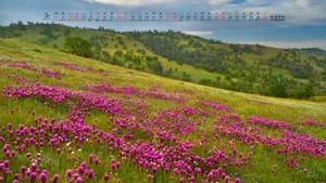 2014年5月日历桌面壁纸_9