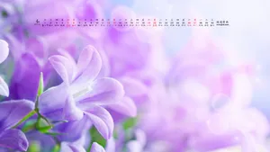 2014年4月日历桌面壁纸_19
