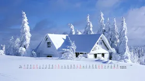 2014年1月日历桌面壁纸_3