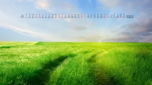 2014年1月日历桌面壁纸_7