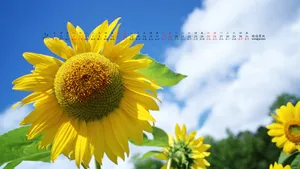 2014年1月日历桌面壁纸_19