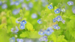 2013年10月日历桌面壁纸_18