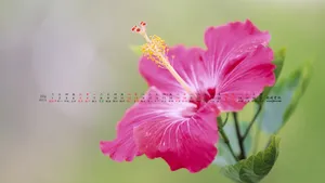 2013年10月日历桌面壁纸_19