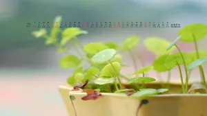 2013年10月日历桌面壁纸_20