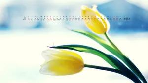 2013年9月日历桌面壁纸_19
