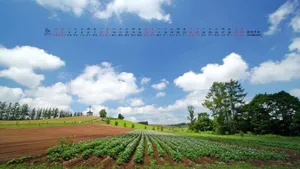 2013年6月日历桌面壁纸_10