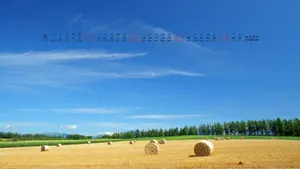 2013年4月日历桌面壁纸_5