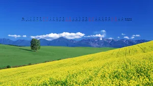 2013年4月日历桌面壁纸_6