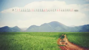 2013年3月日历桌面壁纸_3