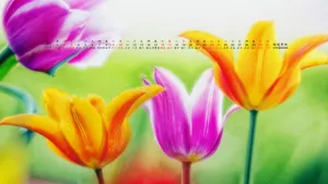 2013年3月日历桌面壁纸_16