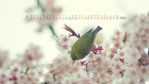 2013年2月日历桌面壁纸_16