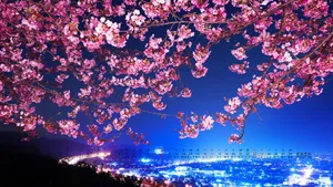 2013年2月日历桌面壁纸_19