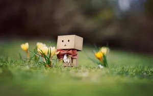 纸盒人Danbo最新高清壁纸_15