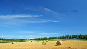 2012年12月日历桌面壁纸_5