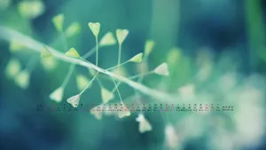 2012年12月日历桌面壁纸_16