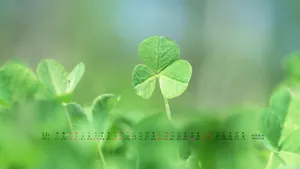 2012年11月日历桌面壁纸_19