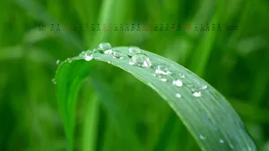 2012年11月日历桌面壁纸_20