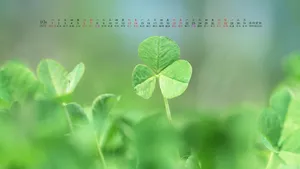 2012年10月日历桌面壁纸_14