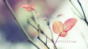 2012年10月日历桌面壁纸_20