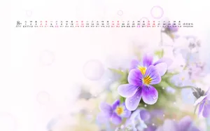 2012年8月精美日历桌面壁纸_9