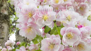 2012年8月日历桌面壁纸_19