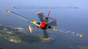 2012年8月日历壁纸_4