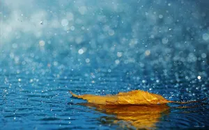 非常唯美的壁纸-夏天的雨_3