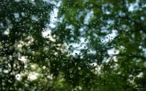 非常唯美的壁纸-夏天的雨_8