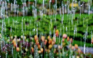 非常唯美的壁纸-夏天的雨_11