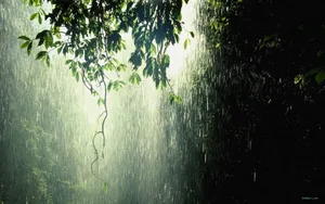 非常唯美的壁纸-夏天的雨_13