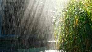 非常唯美的壁纸-夏天的雨_16