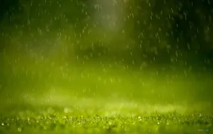 非常唯美的壁纸-夏天的雨_17