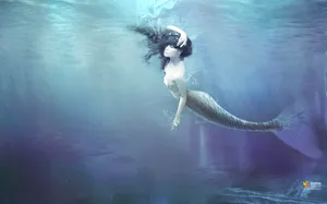 腾讯QQ精美壁纸_8