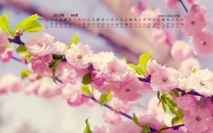 2012年4月日历桌面壁纸_17