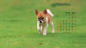2012年3月日历壁纸_9