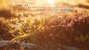 2012年3月日历壁纸_17